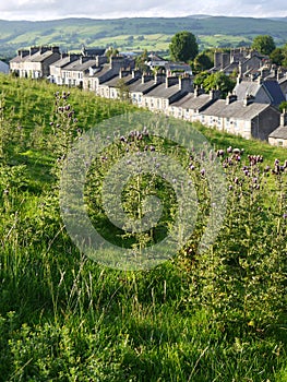 England: stone terrace houses with field