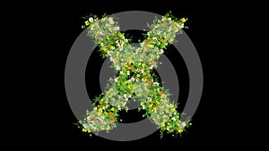 English alphabet X with grass and colorful flowers on plain black background