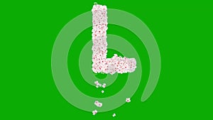 English alphabet L with cherry flowers on green screen background