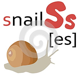 English alphabet with letter and snail pattern