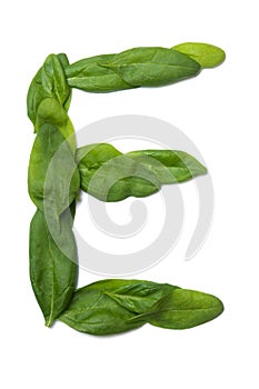 English alphabet from made from fresh green spinach leaves