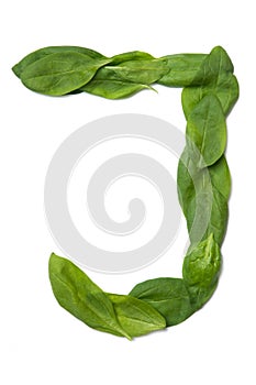 English alphabet from made from fresh green spinach leaves