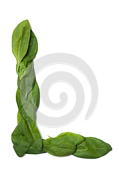 English alphabet from made from fresh green spinach leaves