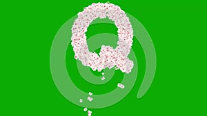 English alphabet Q with cherry flowers on green screen background