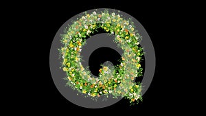 English alphabet Q with grass and colorful flowers on plain black background