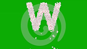 English alphabet W with cherry flowers on green screen background