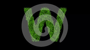 English alphabet W with green grass effect on plain black background