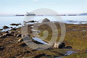 English Bay Shore and Freighters horizontal