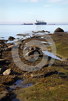 English Bay Shore and Freighters