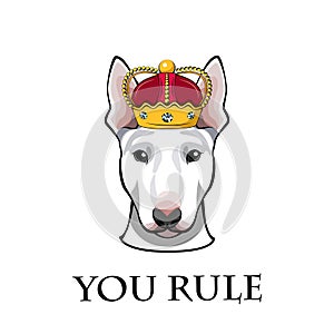 English Bull terrier dog head in crown. You rule text. Vector illustration.