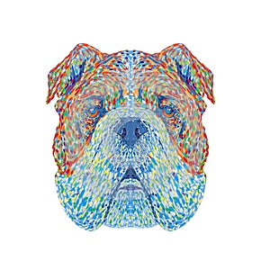 English Bulldog or British Bulldog Head Front View Pointillist Impressionist Pop Art Style