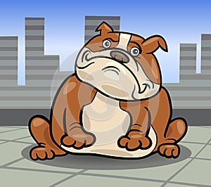 English bulldog dog cartoon illustration