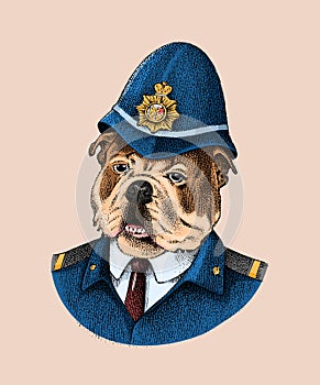 English Bulldog. Dog dressed up in police suit. Fashion Animal character in clothes. Hand drawn sketch. Vector engraved