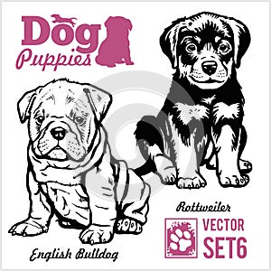 English Bulldog and Rottweiler - Dog Puppies. Vector set. Funny dogs puppy pet characters different breads doggy