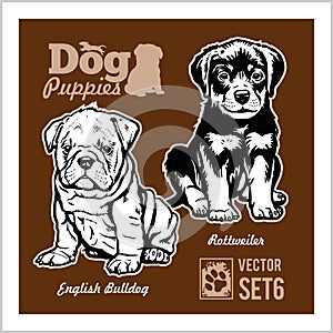 English Bulldog and Rottweiler - Dog Puppies. Vector set. Funny dogs puppy pet characters different breads doggy