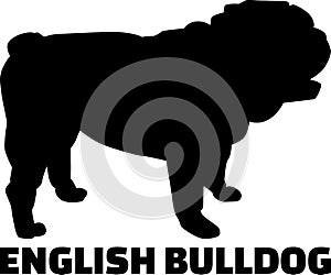 English Bulldog silhouette