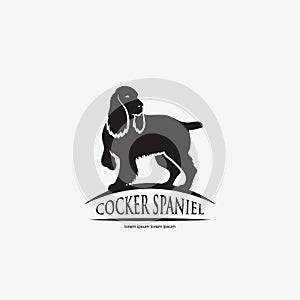 English cocker spaniel dog - vector illustration photo