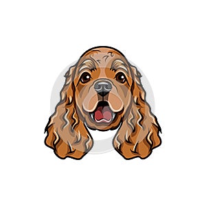 English cocker spaniel head. Vector illustration.