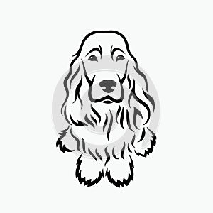 English Cocker Spaniel - vector illustration