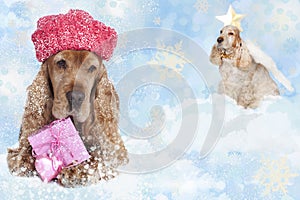 English cockerspaniel with shopping gift and angel