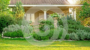 English cottage garden on green grass lawn backyard, infomal landscape decorate with roses, rosemary herb, lavender, flower pots