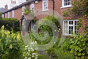 An English Cottage Garden in Warsash in Hampshire showing a riot of chaotic colour in early summer