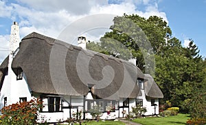 English cottage with thatched roof