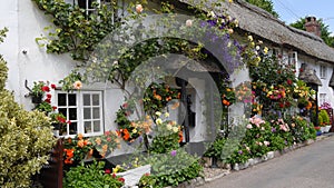English country cottage decked with flowers