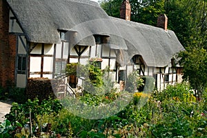 In An English Country Garden