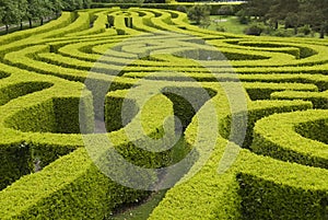 English country garden Maze