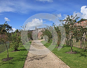 English Country Garden Orchard