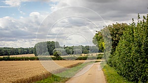 English country lane at harvest time.