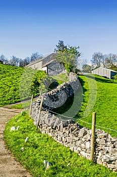 English country lane leading to a farmhouse.