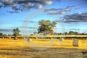 English country scene hay bales at harvest time in HDR