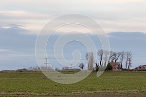 English countryside. Arable farmland landscape with farm house UK