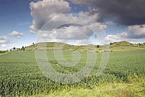 English countryside in the chiltern valley