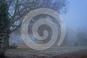 English countryside in fog