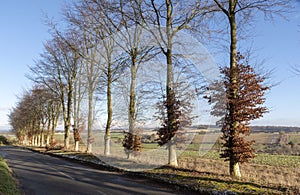 English countryside in Hampshire, southern England