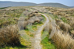 English countryside: hills, grass, footpath, field