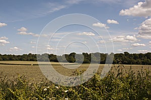 English Countryside, Holmer Green, Buckinghamshire