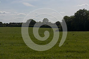 English Countryside, Holmer Green, Buckinghamshire