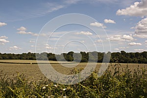 English Countryside, Holmer Green, Buckinghamshire photo