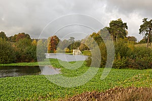 English countryside, lake and trees