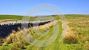 English countryside landscape