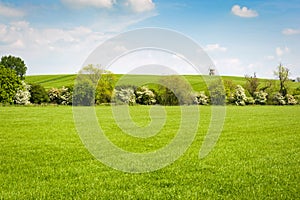 English countryside landscape