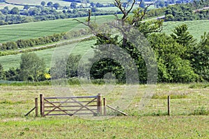 English countryside in summer, with farm fields, meadows, entrance gate .