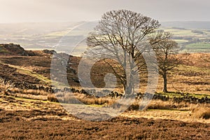 English coutryside in autumn