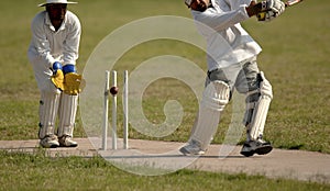 English Cricket Match