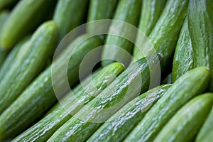 English Cucumbers In Market photo