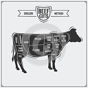 English cuts of beef. Vector illustration.